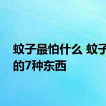 蚊子最怕什么 蚊子最怕的7种东西