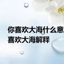 你喜欢大海什么意思 你喜欢大海解释