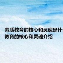 素质教育的核心和灵魂是什么 素质教育的核心和灵魂介绍