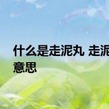 什么是走泥丸 走泥丸的意思