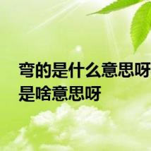 弯的是什么意思呀 弯的是啥意思呀