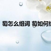 萄怎么组词 萄如何组词