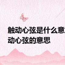 触动心弦是什么意思 触动心弦的意思