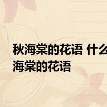 秋海棠的花语 什么是秋海棠的花语
