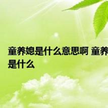 童养媳是什么意思啊 童养媳意思是什么