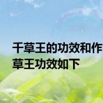 千草王的功效和作用 千草王功效如下