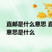 直邮是什么意思 直邮的意思是什么