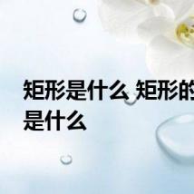 矩形是什么 矩形的定义是什么