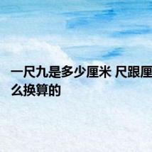 一尺九是多少厘米 尺跟厘米是怎么换算的
