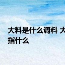 大料是什么调料 大料是指什么