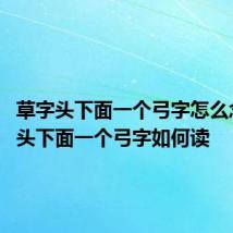 草字头下面一个弓字怎么念 草字头下面一个弓字如何读