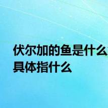 伏尔加的鱼是什么意思 具体指什么
