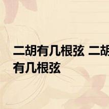 二胡有几根弦 二胡一共有几根弦
