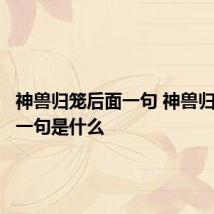 神兽归笼后面一句 神兽归笼后面一句是什么