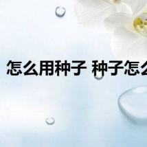 怎么用种子 种子怎么用