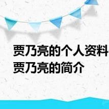 贾乃亮的个人资料 关于贾乃亮的简介