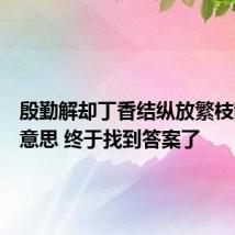 殷勤解却丁香结纵放繁枝散诞春意思 终于找到答案了
