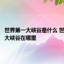 世界第一大峡谷是什么 世界第一大峡谷在哪里