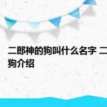 二郎神的狗叫什么名字 二郎神的狗介绍