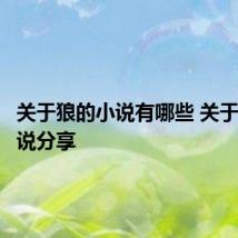 关于狼的小说有哪些 关于狼的小说分享