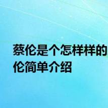 蔡伦是个怎样样的人 蔡伦简单介绍