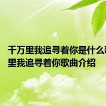 千万里我追寻着你是什么歌 千万里我追寻着你歌曲介绍