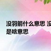 没羽箭什么意思 没羽箭是啥意思