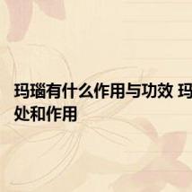 玛瑙有什么作用与功效 玛瑙的好处和作用