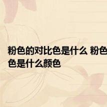 粉色的对比色是什么 粉色的对比色是什么颜色