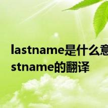 lastname是什么意思 lastname的翻译
