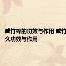 咸竹蜂的功效与作用 咸竹蜂有什么功效与作用