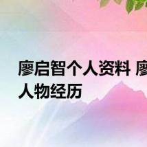 廖启智个人资料 廖启智人物经历