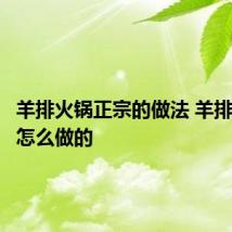 羊排火锅正宗的做法 羊排火锅是怎么做的