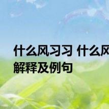 什么风习习 什么风习习解释及例句
