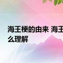 海王梗的由来 海王梗怎么理解