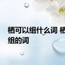 栖可以组什么词 栖可以组的词