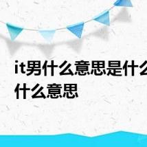 it男什么意思是什么 it男什么意思