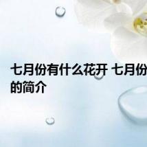 七月份有什么花开 七月份开的花的简介