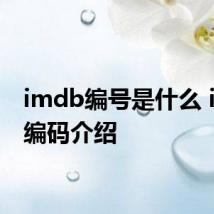 imdb编号是什么 imdb编码介绍