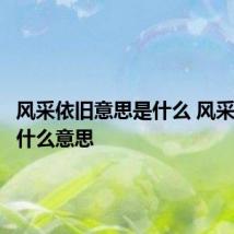 风采依旧意思是什么 风采依旧意什么意思