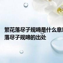 繁花落尽子规啼是什么意思 繁花落尽子规啼的出处