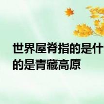 世界屋脊指的是什么 指的是青藏高原