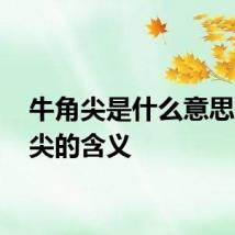 牛角尖是什么意思 牛角尖的含义