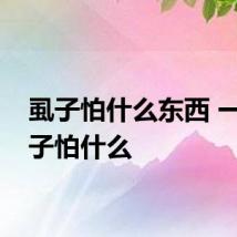 虱子怕什么东西 一般虱子怕什么