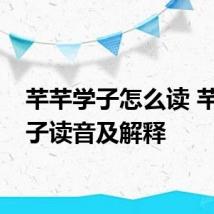 芊芊学子怎么读 芊芊学子读音及解释