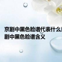 京剧中黑色脸谱代表什么意思 京剧中黑色脸谱含义