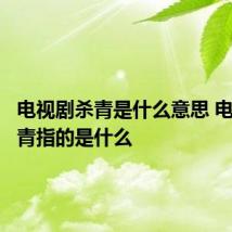 电视剧杀青是什么意思 电视剧杀青指的是什么