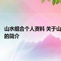 山水组合个人资料 关于山水组合的简介