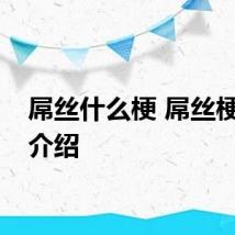 屌丝什么梗 屌丝梗意思介绍