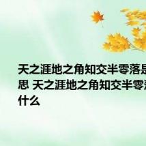 天之涯地之角知交半零落是什么意思 天之涯地之角知交半零落意思是什么